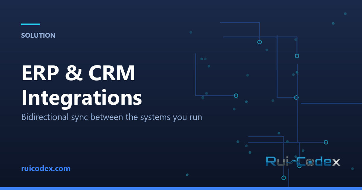 ERP & CRM Integrations in Belgium — Rui Codex