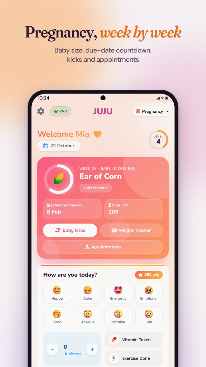 Pregnancy mode at week 24, comparing the baby's size to an ear of corn, with the estimated delivery date and buttons for kicks, weight and appointments